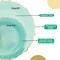 Trendables Plastic Plates for Party Fancy Plastic Dinner Plates For Guest 7.5 inch Dessert Plates & 10 Inch Thin Delicate Disposable Dinnerware Charger Plate Set